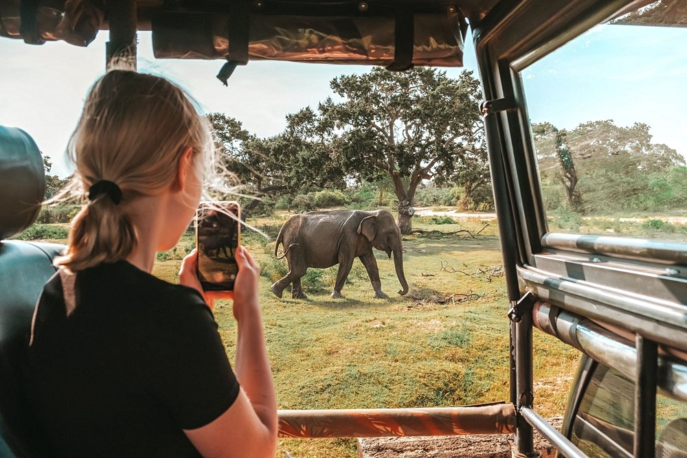 Tanzanie au mois de  août