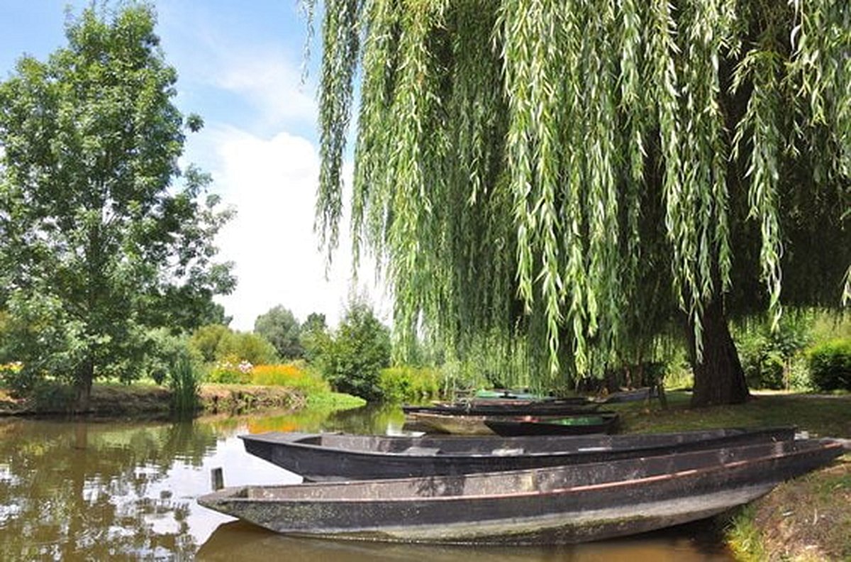 Découvrir le marais poitevin en barque