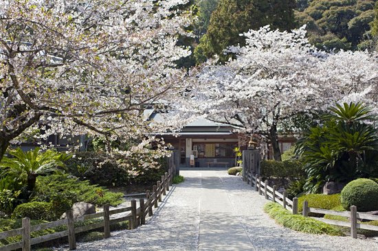 Le pèlerinage de Shikoku
