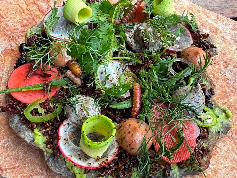 Savourer les mets locaux dans les restaurants d’Oaxaca