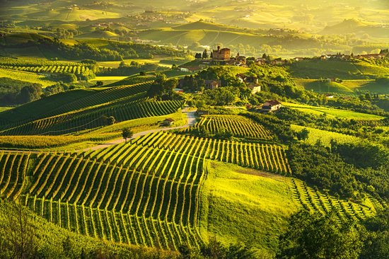 Vallée de Chianti