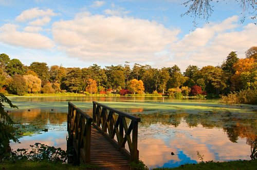 Top 5 des jardins irlandais