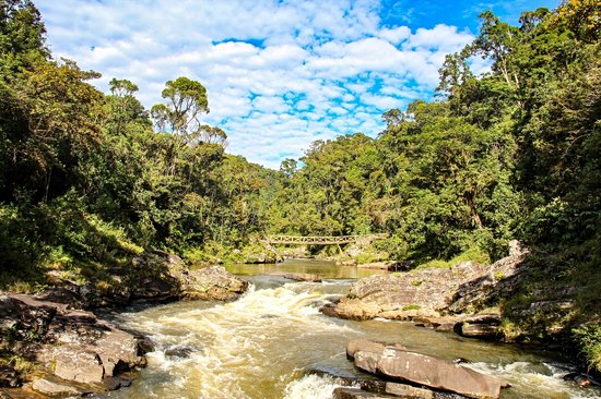 Parc national de Ranomafana