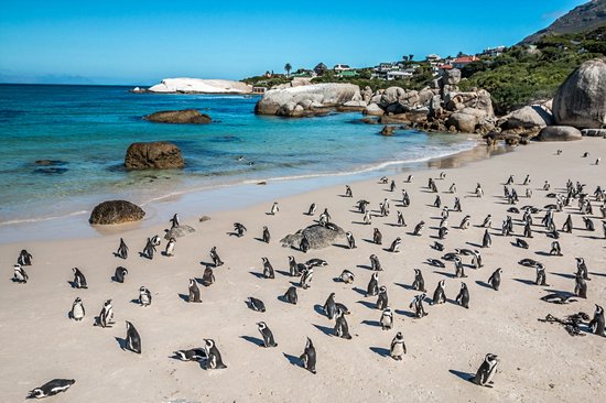 Boulders Beach
