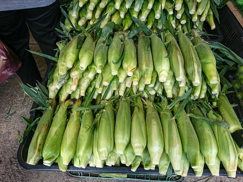 Kea Farm