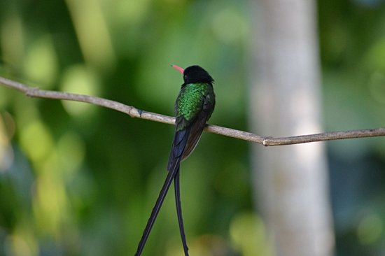 Rocklands Bird Sanctuary