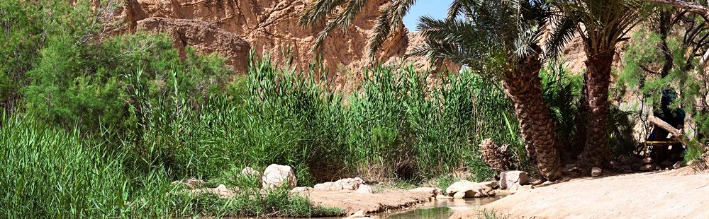 Ksar Ghilane