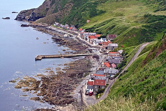 Crovie