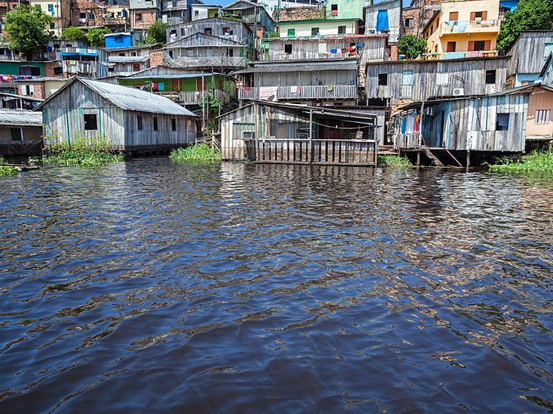 Belém et Manaus, Forêt Amazonienne