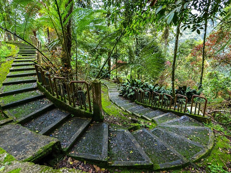 Parc national de Kerinci Seblat
