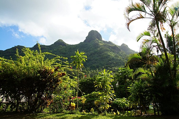 Huahine (îles de la Société) 3