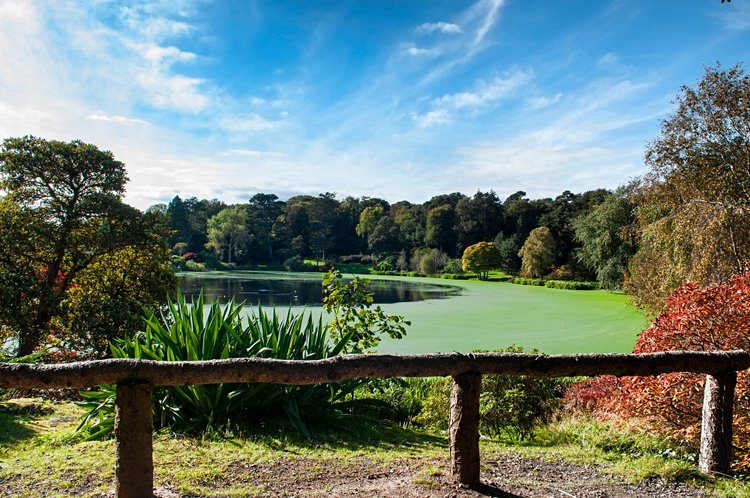 Le manoir familial de Mount Stewart 2