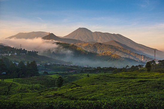 Mont Gede