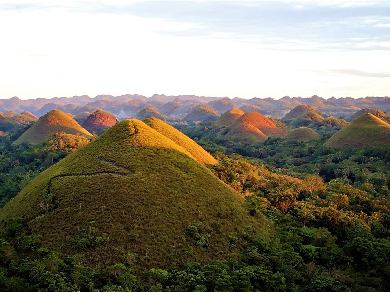 Admirer les Chocolate Hills