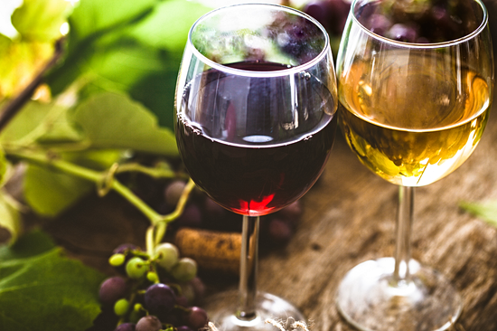 Dégustation de vins à Godinje