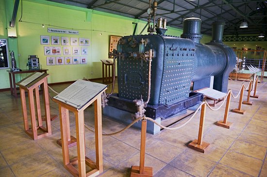 Bois Cheri Tea Factory