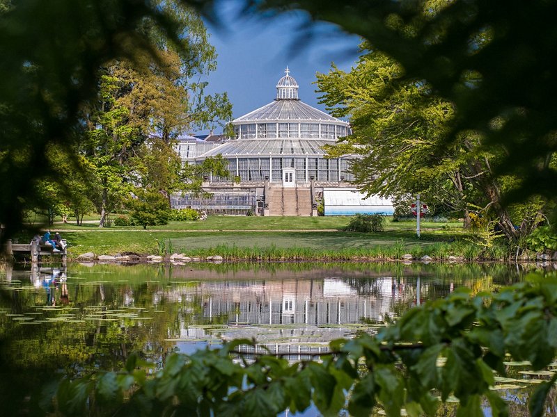Le jardin botanique