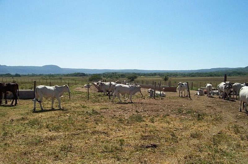 Séjourner dans une estancia