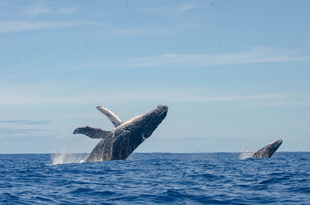 Réunion au mois de  juillet