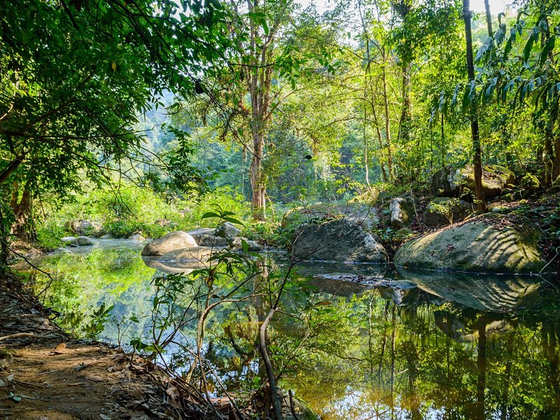 Parc national de Khao Sok : Chieo Lan Lake Trail (Khlong Pae)