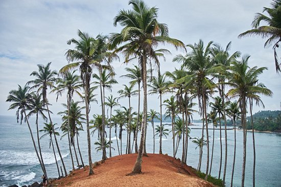 Mirissa Beach
