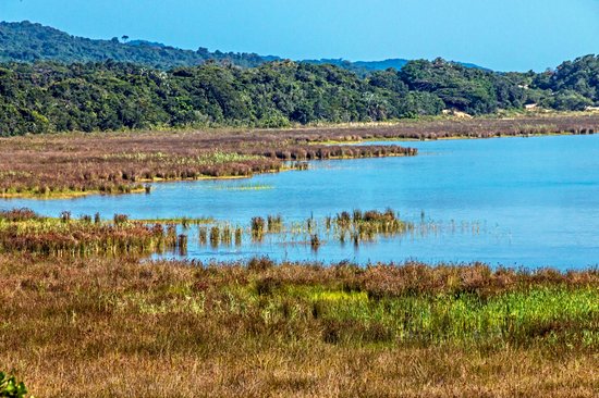 Le Parc naturel d’iSimangaliso et Sainte Lucie