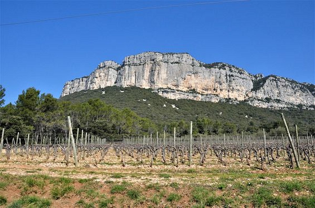 Partir en balade oenologique au Pic Saint-Loup