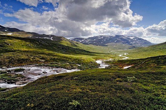 Parc national de Dovrefjell-Sunndalsfjella