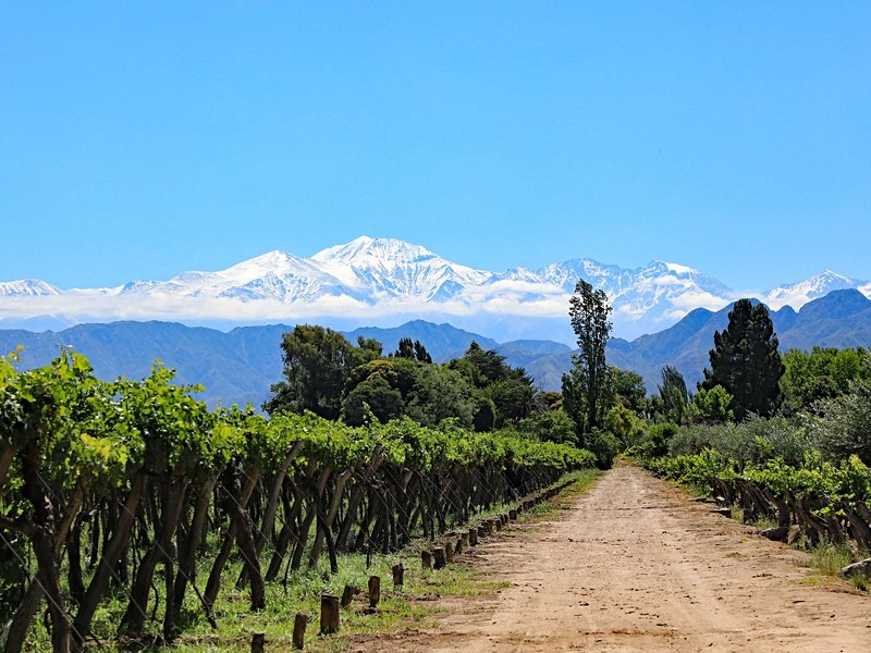 Mendoza