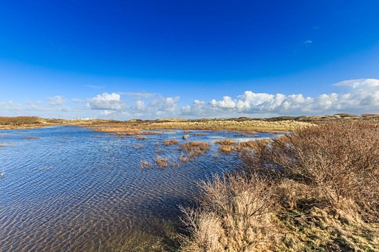 Parc national Zuid-Kennemerland