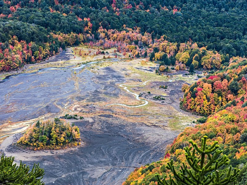 Parc national Conguillío