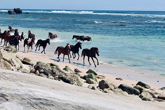 Sumba