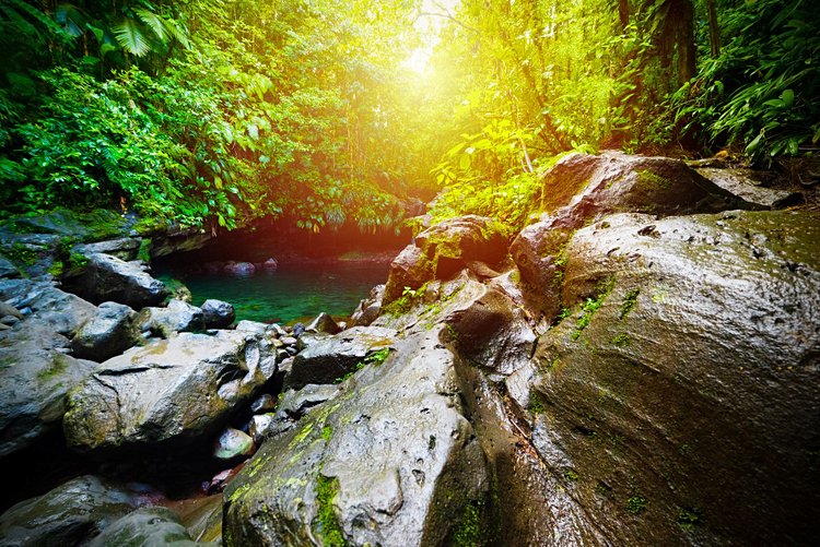 La cascade Paradis 2