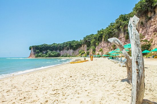 Praia dos Golfinhos