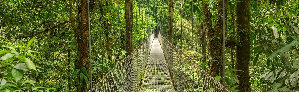 Réserve biologique de Monteverde