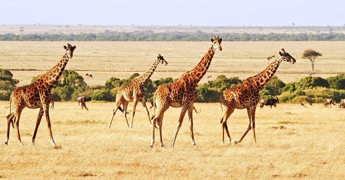 Kenya