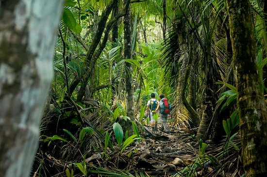 Le Parque Nacional Corcovado