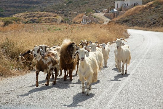 Sifnos