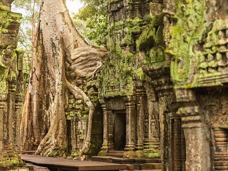 Ta Prohm