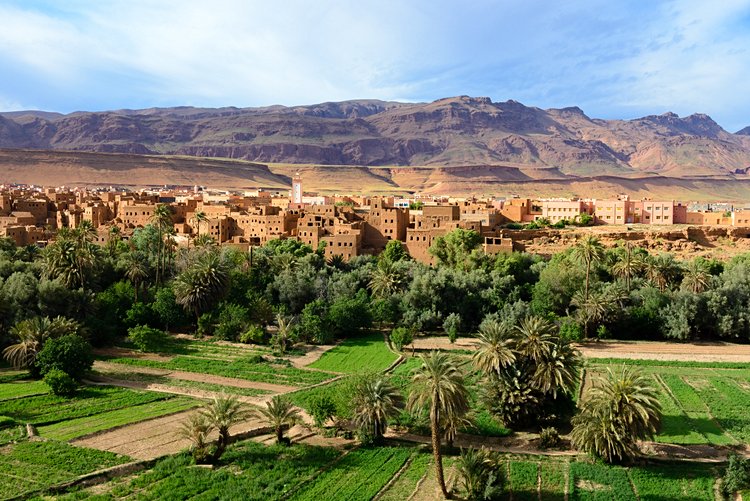 N°16 Maroc 3