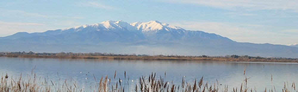 Canet-en-Roussillon