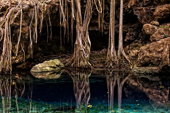 Cenotes X-batun & Dzombakal, San Antonio de Mulix