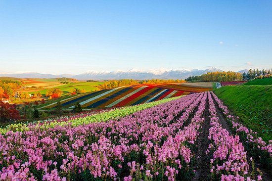 Hokkaido
