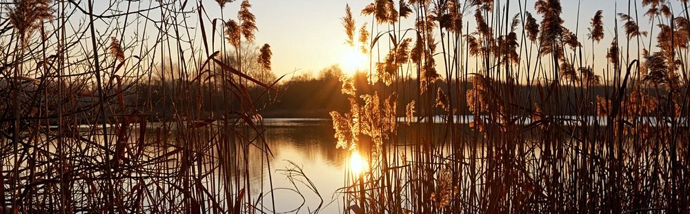 Parc Naturel régional du Gâtinais