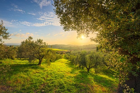 Le Parco Naturale della Maremma
