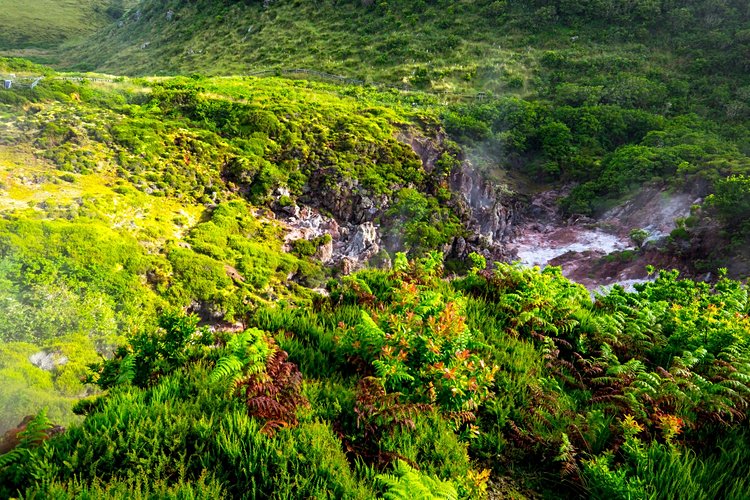Les mystiques Furnas do Enxofre 2