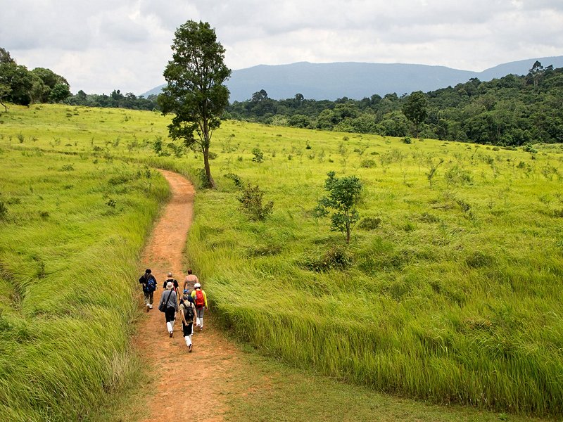Parc national de Khao Yai : trail n°5