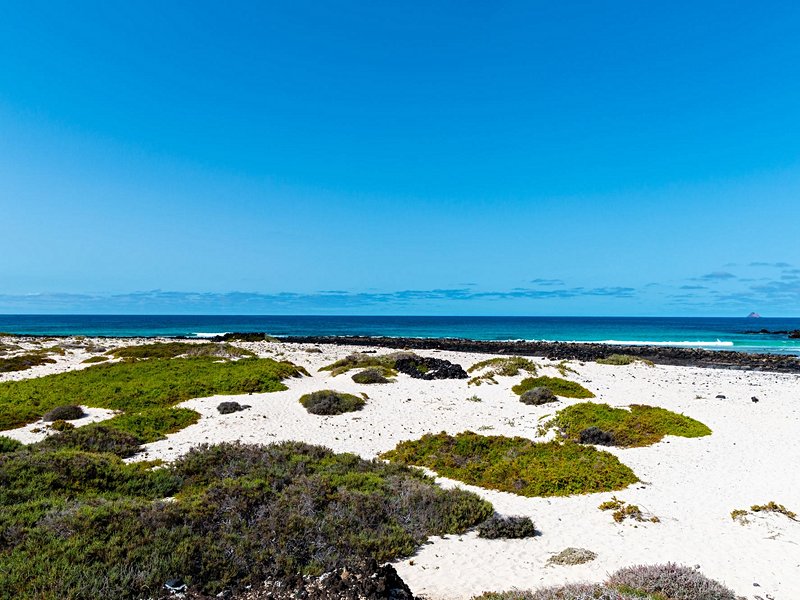 La plage de Caleton Blanco