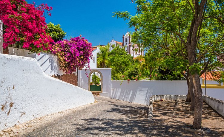 Silves 3