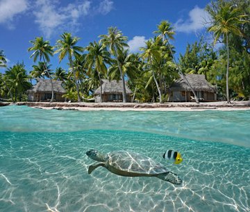 Tikehau